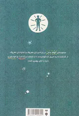 داستان های خوب برای پسران بلند پرواز